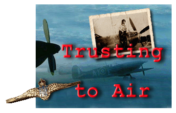 Trusting To Air ~ By Alison James